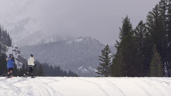 Dog running across snow cover hill as hikers follow