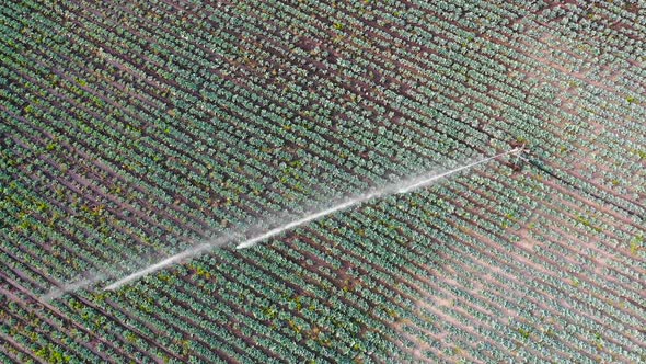 Aerial Footage of Working Irrigation Sprincler on an Agricultural Field