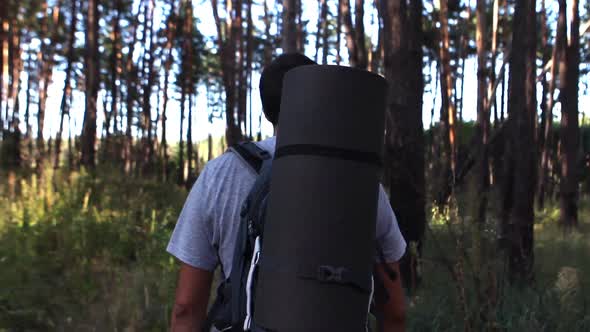 Man Travels Through The Woods