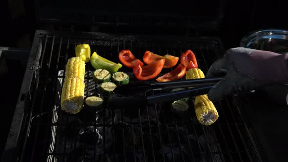 Fresh Grilled Vegetables on Barbecue for Dinner