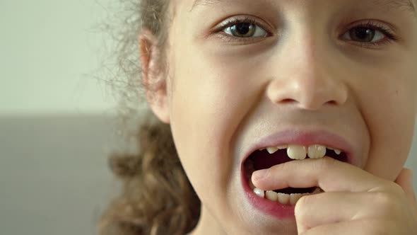 Portrait of a Child with a Smile on His Face Loosens His Milk Tooth