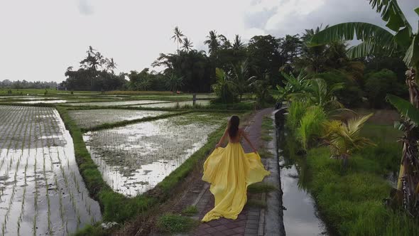 Aerial Shot of Rice Fields and Running Woman