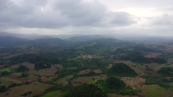 Vibrant Green Tropical Valley with Rice Field and Farmland