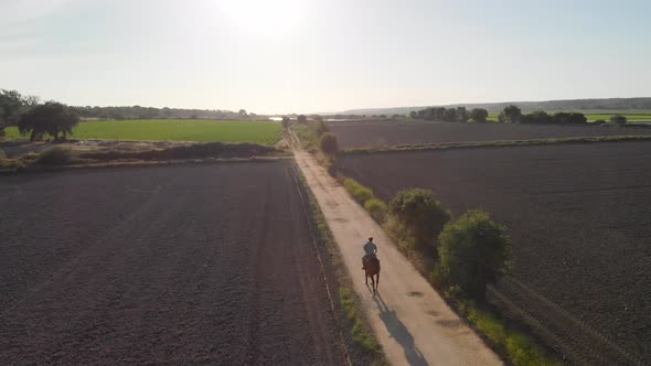 drone footage of a man riding a horse on a field by the river