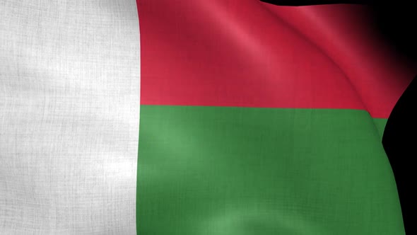 Madagascar Flag