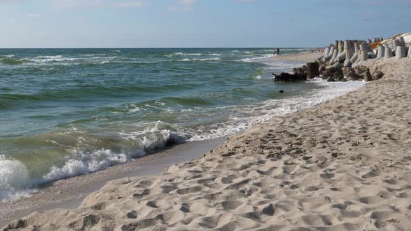 Baltic Coastline with Summer Forest and the Sea