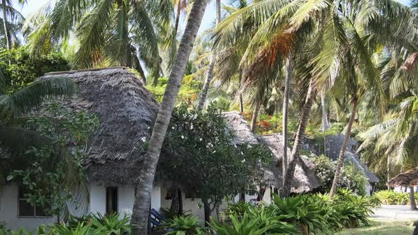 Tropical Beach Hotel with Thatched Roofs in Palm Groves By Ocean Zanzibar Paje