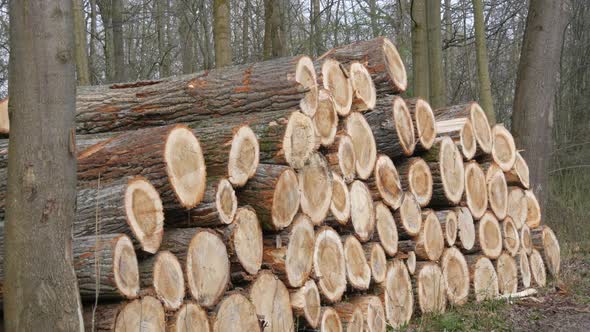 A Stack of Logs