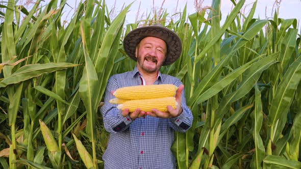 Front View in Corn Field Senior Male Farmer Looking at Camera Holding Out Hands Young Corn Happy