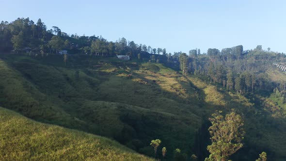 Aerial View of Tea Plantations, Fields, Waterfall During Sunrise, Sri Lanka Island