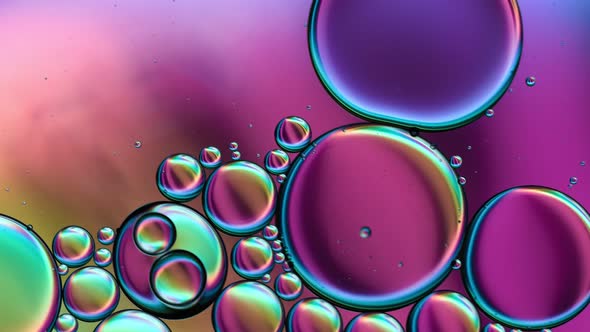 Abstract Colorful Food Oil Drops Bubbles 81