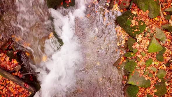 Footage of Wonderful Mountain Stream in the Shypit Karpat National Park