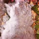 Footage of Wonderful Mountain Stream in the Shypit Karpat National Park - VideoHive Item for Sale