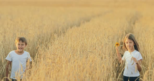 Sister and Brother Are Walking Along the Rye Field, Endless Expanses. Children Walk in the Meadow.