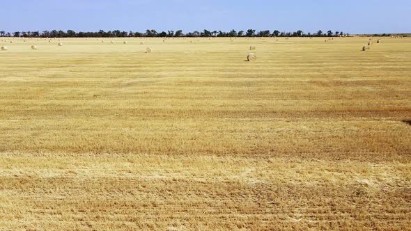 Round bales of straw on the wheat field after harvest, field haystacks landscape