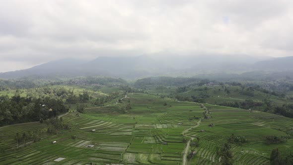 Drone footage of the rice field heritage location, Jatiluwih in Bali