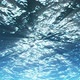 Summer Underwater Background - VideoHive Item for Sale