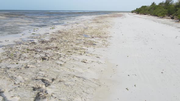 Beach on Zanzibar Island Tanzania Africa