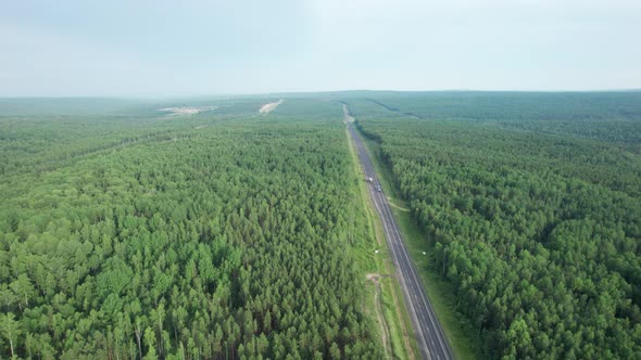 Aerial View of Scenic Road Between Green Trees with Pines on a Sunny Summer Morning