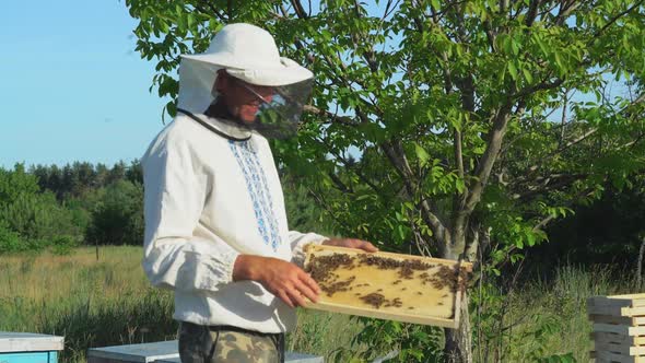 Beekeeper in protective workwear inspecting honeycomb frame at apiary. Beekeeping concept.