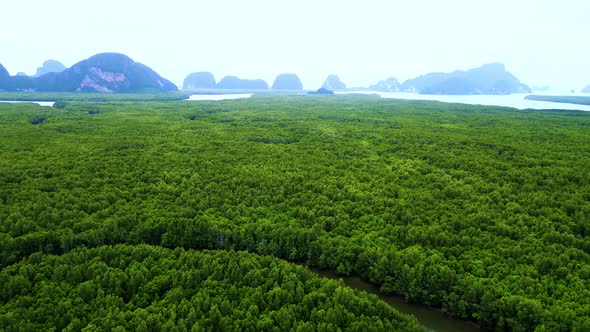 Beautiful View of Phang Nga Bay, aerial view mangrove forest in river and mountain of Phang Nga Bay