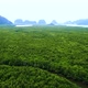 Beautiful View of Phang Nga Bay, aerial view mangrove forest in river and mountain of Phang Nga Bay - VideoHive Item for Sale