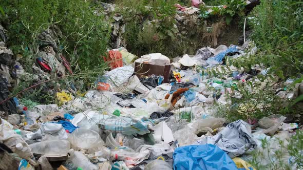 The Concept of Environmental Pollution By Plastic Waste