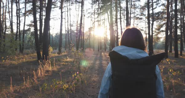 Back side view of young brunette female traveler with big tourist backpack walking towards sunset