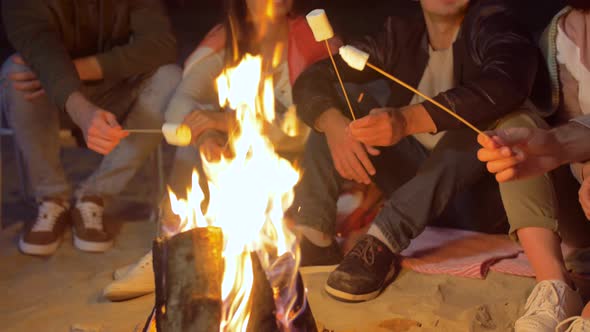 Friends Roasting Marshmallow on Camp Fire on Beach