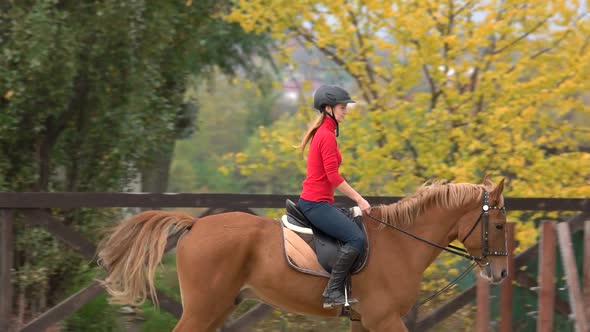 Sporty Female Jockey Practice Riding