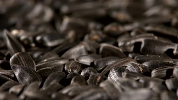 Sunflower Seeds, Rotation, Close Up, Background