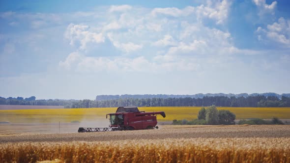 Country farming landscape. Harvesting wheat field with combine harvester