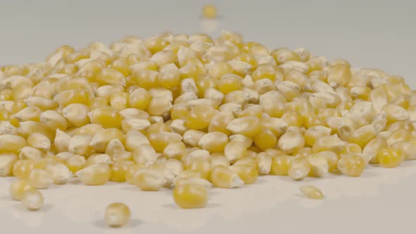 Pile of Corn Kernels