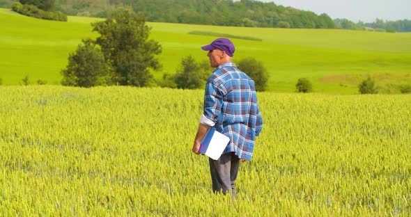 Male Farmer Analyzing Wheat While Making Report