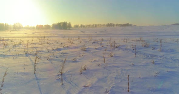 Aerial Drone View of Cold Winter Landscape with Arctic Field, Trees Covered with Frost Snow and