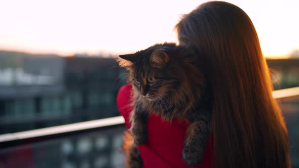 Woman in a Red Dress Stands on a Balcony at Sunset and Holds a Fluffy Cat on Her Shoulder