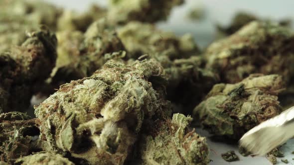 Marijuana, Cannabis, Hemp, Close-up, Slow Motion