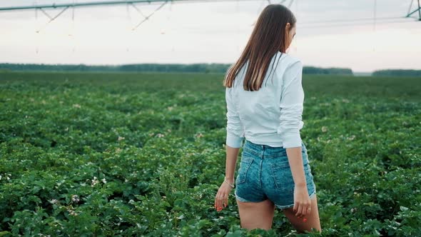 Young Farmer Girl in a Shorts Walks Across the Field in Suset Light. Modern Farming, Happy Youth