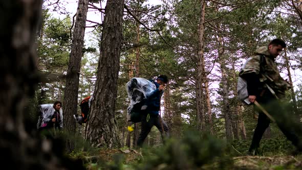 Tourists Walking In Forest