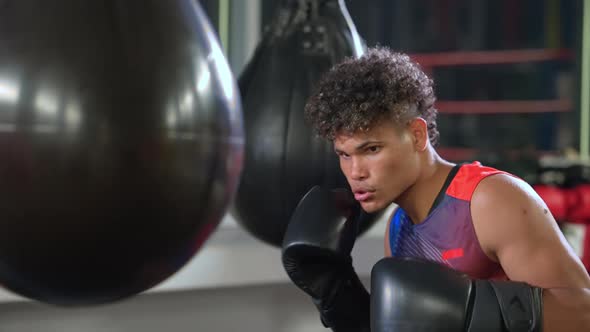 Focused and Motivated Boxer Training with Punching Bag