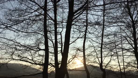 Walking on a forest road, early spring season, with beautiful light coming from sunset