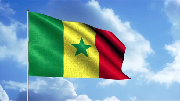 Flag of Cameroon