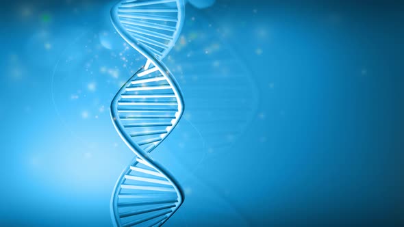 Rotating Model Of DNA Strand On A Blue Background HD alt