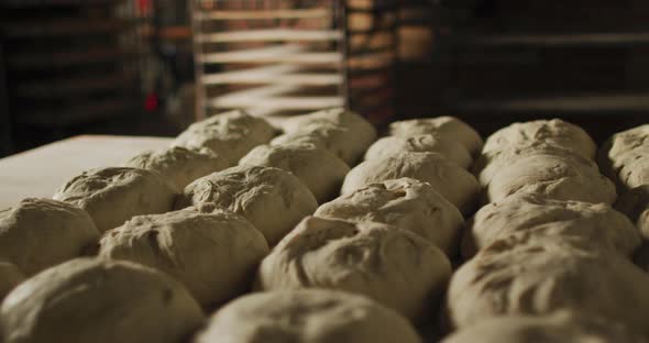 Animation of rows of fresh prepared rolls ready to bake