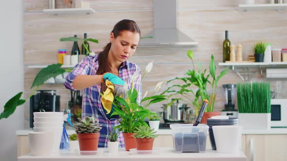 Wiping Flowers Leaves