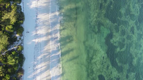 Vertical Video Boats in the Ocean Near the Coast of Zanzibar Tanzania Aerial View