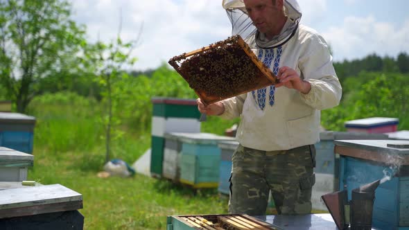 Apiarist with bee frame full of bees