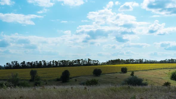 Moving Clouds in Blue Sky Above Landscape Fields. Timelapse. Amazing Rural Valley. Ukraine