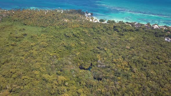 4k 24fps Drone Shoot Of The Forrest In The Caribbean Beach