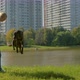 Young dogs trainer with a dog in a park - VideoHive Item for Sale